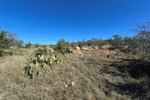 69 Peninsula Dr, Burnet, TX 78611 - Photo 3