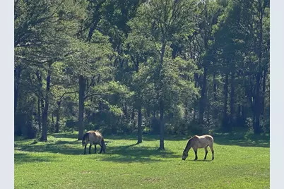 1985 Cr 309, Lexington, TX 78947 - Photo 1