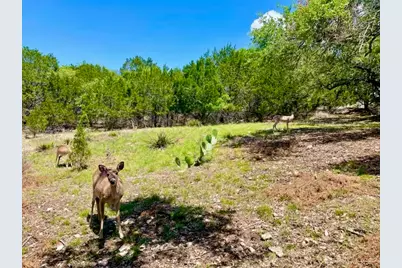 21422 Patton Avenue, Lago Vista, TX 78645 - Photo 9