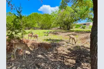 21422 Patton Avenue, Lago Vista, TX 78645 - Photo 3