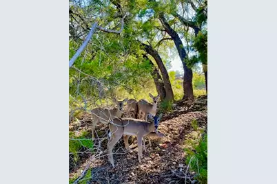 21422 Patton Avenue, Lago Vista, TX 78645 - Photo 7