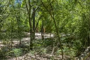2316 River Hills Rd, Austin, TX 78733 - Photo 7