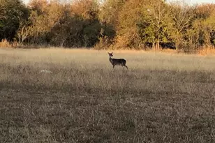 1512 River Grove Rd, Martindale, TX 78655 - Photo 33