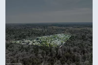 4.81 Ac Pauline Lane, Caldwell, TX 77836 - Photo 13