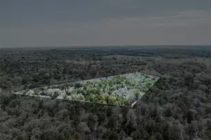 4 81 Ac Pauline Ln, Caldwell, TX 77836 - Photo 13