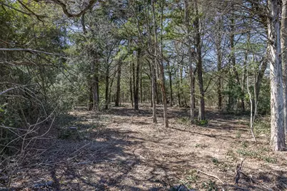 4.81 Ac Pauline Lane, Caldwell, TX 77836 - Photo 19
