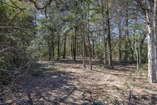 4 81 Ac Pauline Ln, Caldwell, TX 77836 - Photo 19