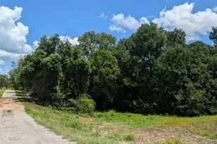 9278 N Hwy 77 Hwy, Lexington, TX 78947 - Photo 15