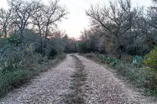 137 Shady Oaks Loop, Cedar Creek, TX 78612 - Photo 1