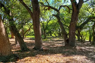 Tbd Cr108, Burnet, TX 78611 - Photo 7