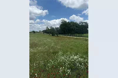 2135 Mule Creek Road, Harwood, TX 78632 - Photo 5