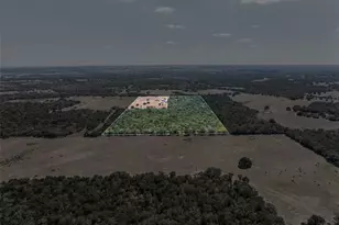 2025-2135 Mule Creek Rd, Harwood, TX 78632 - Photo 27