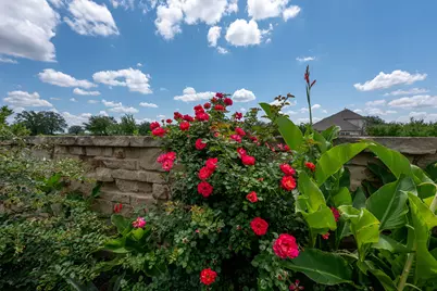 2420 Lobo Landing Cove, Georgetown, TX 78628 - Photo 27