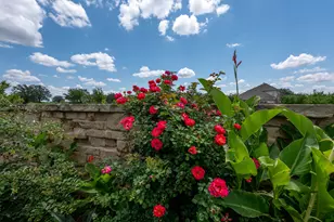 2420 Lobo Landing Cove, Georgetown, TX 78628 - Photo 27