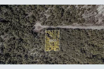 8605 Tegua Cove, Lago Vista, TX 78645 - Photo 5