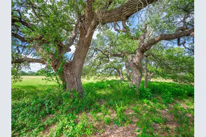 202 Mason Court, Driftwood, TX 78619 - Photo 13