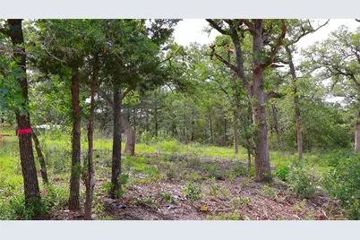 200 Cheyenne Drive, Smithville, TX 78957 - Photo 3