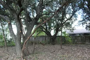 11502 Bee St, Jonestown, TX 78645 - Photo 1