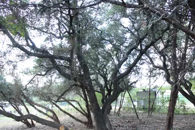 11502 Bee Street, Jonestown, TX 78645 - Photo 19