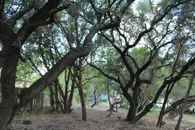 11502 Bee Street, Jonestown, TX 78645 - Photo 17