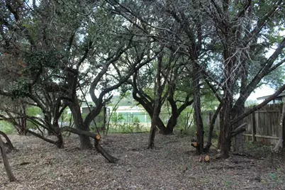 11502 Bee Street, Jonestown, TX 78645 - Photo 15