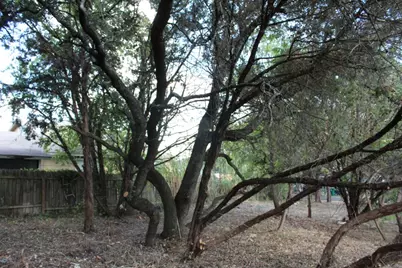 11502 Bee Street, Jonestown, TX 78645 - Photo 3