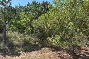 [Address not provided], Dripping Springs, TX 78620 - Photo 19