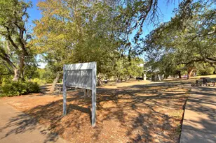 11005 Andenwood Dr, Austin, TX 78726 - Photo 21