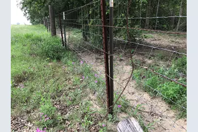 1672 Sayers Tract 4 Road, Bastrop, TX 78602 - Photo 9