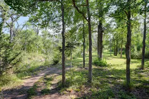 2147 Tejas Trail, Blanco, TX 78606 - Photo 29