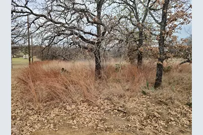 0 Peg Leg Lane, Buchanan Dam, TX 78609 - Photo 9