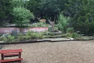 18220 Shepherds Corral, Dripping Springs, TX 78620 - Photo 21