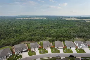 293 Barnhill Loop, Dripping Springs, TX 78620 - Photo 29