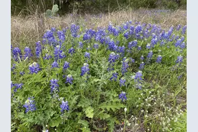 1365 Pedernales Hills Road, Johnson City, TX 78636 - Photo 9