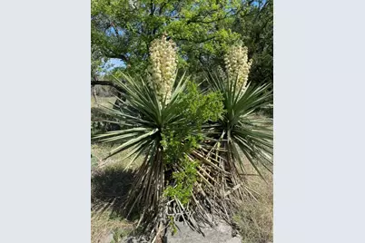 1365 Pedernales Hills Road, Johnson City, TX 78636 - Photo 11