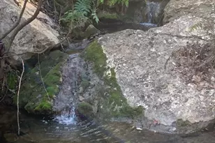 128 Hidden Springs Ct, Spicewood, TX 78669 - Photo 19