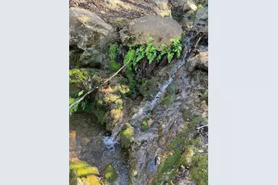 128 Hidden Springs Court, Spicewood, TX 78669 - Photo 17