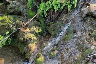 128 Hidden Springs Ct, Spicewood, TX 78669 - Photo 17