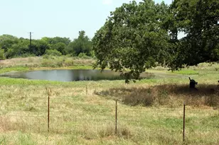 108 Sorrel St, Red Rock, TX 78662 - Photo 3