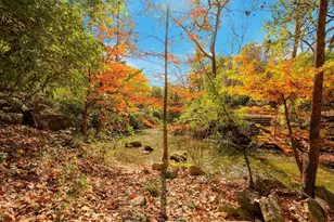 1821 Westlake Dr, Austin, TX 78746 - Photo 19