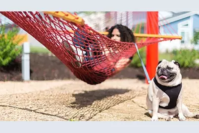 9216 Hamadryas Drive, Austin, TX 78744 - Photo 15