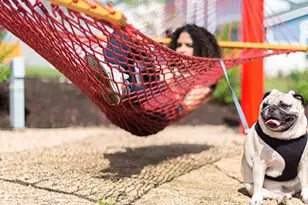 9216 Hamadryas Dr, Austin, TX 78744 - Photo 15