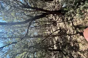 21505 Cardinal Ave, Leander, TX 78645 - Photo 17