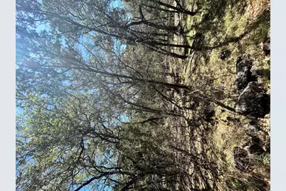 21505 Cardinal Avenue, Leander, TX 78645 - Photo 3