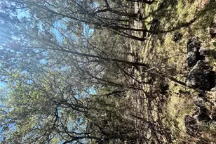 21505 Cardinal Ave, Leander, TX 78645 - Photo 3