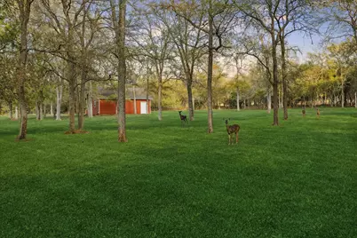 317 Colorado Drive, Cedar Creek, TX 78612 - Photo 27