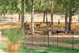 317 Colorado Dr, Cedar Creek, TX 78612 - Photo 25