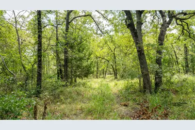 418-D County Road 405, Buckholts, TX 76518 - Photo 15