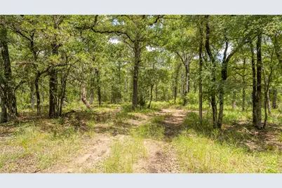 418-D County Road 405, Buckholts, TX 76518 - Photo 5