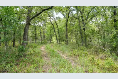 418-D County Road 405, Buckholts, TX 76518 - Photo 9